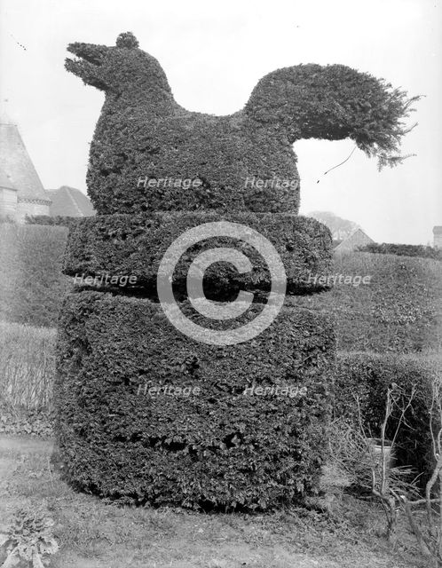 Sitting bird topiary at Sedlescombe, East Sussex, 1916. Artist: Nathaniel Lloyd