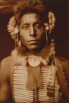 Sitting Eagle, c1905. Creator: Edward Sheriff Curtis