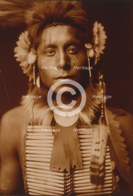 Sitting Eagle, c1905. Creator: Edward Sheriff Curtis.