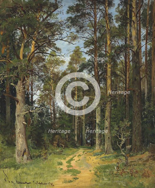 Siverskaya, 1896. Creator: Shishkin, Ivan Ivanovich (1832-1898).