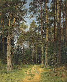 Siverskaya, 1896. Creator: Shishkin, Ivan Ivanovich (1832-1898)