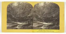 Six Mile Creek, Ithaca, N.Y. View in Ravine above Green Tree Fall, 1860/65. Creator: J. C. Burritt