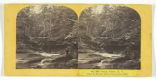 Six Mile Creek, Ithaca, N.Y. View in Ravine above Green Tree Fall, 1860/65. Creator: J. C. Burritt
