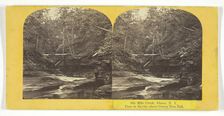 Six Mile Creek, Ithaca, N.Y. View in Ravine above Green Tree Fall, 1860/65. Creator: J. C. Burritt