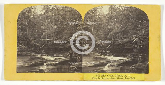 Six Mile Creek, Ithaca, N.Y. View in Ravine above Green Tree Fall, 1860/65. Creator: J. C. Burritt.