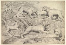 Six Animals, including lions, a tiger, a leopard, a griffin, and a goat, ca. 1530-61. Creator: Battista Franco Veneziano