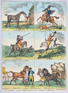 Six Classes of the Noble and Useful Animal a Horse, October 10, 1811., October 10, 1811. Creator: Thomas Rowlandson