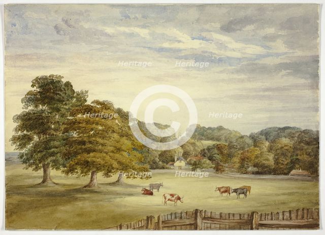 Six Cows Grazing before Country House, n.d. Creator: Elizabeth Murray.