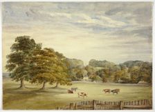 Six Cows Grazing before Country House, n.d. Creator: Elizabeth Murray
