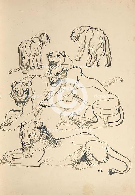 Six cougars, 1914. Creator: Franz Barwig the Elder.