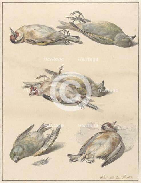 Six dead birds, 1803. Creator: Willem van Leen.