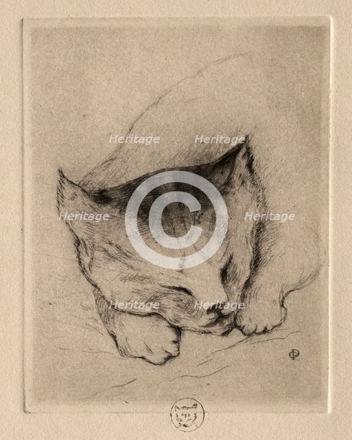 Six Etchings: Head of a Kitten, 1895. Creator: Paul Gachet (French, 1828-1909).
