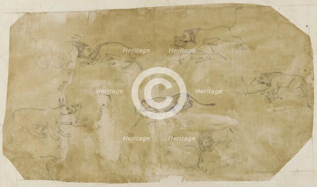 Six groups of fighting animals, 18th century. Creator: Unknown.