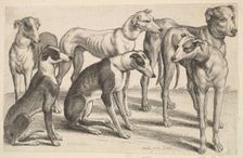 Six Hounds, 1646. Creator: Wenceslaus Hollar