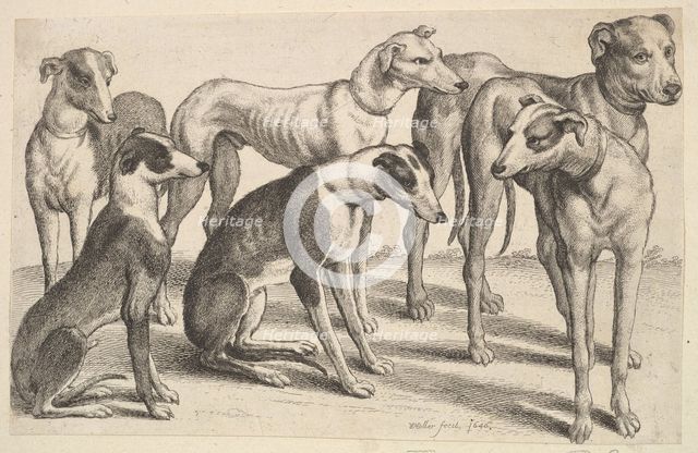 Six Hounds, 1646. Creator: Wenceslaus Hollar.