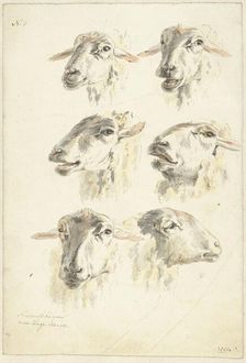 Six studies of sheep heads, 1800. Creator: Franciscus Andreas Milatz