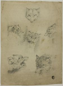 Six Sketches of Wolf Heads, n.d. Creator: Unknown