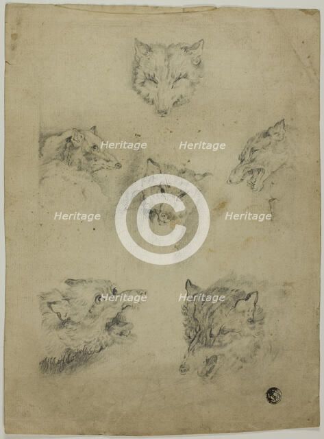 Six Sketches of Wolf Heads, n.d. Creator: Unknown.