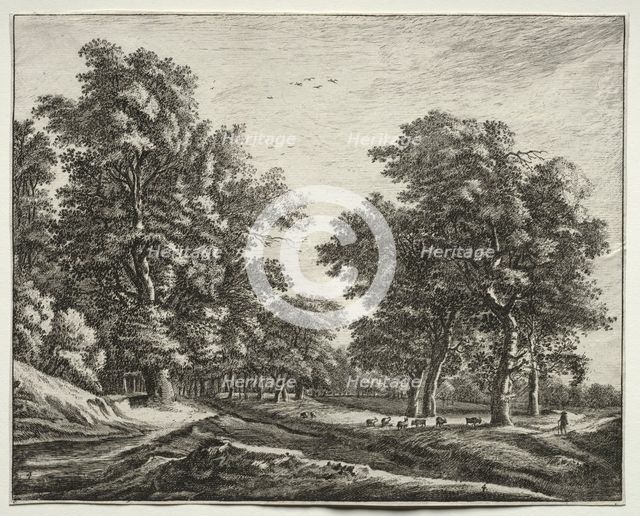 Six view in the wood of the Hague: Goats Under the Trees. Creator: Roelant Roghman (Dutch, 1627-1692).