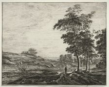 Six view in the wood of the Hague: Peasant Seen from the Back. Creator: Roelant Roghman (Dutch, 1627-1692)