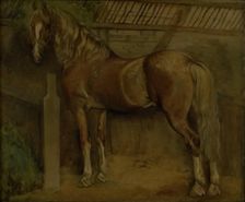 Sixteen-year-old stallion of the Knabstrup breed, 1847. Creator: Johan Thomas Lundbye
