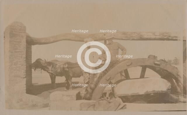 'Sialkot', late 19th-early 20th century.  Creator: Unknown.