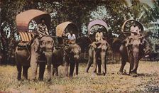 Siam c1930s. Artist: Ewing Galloway