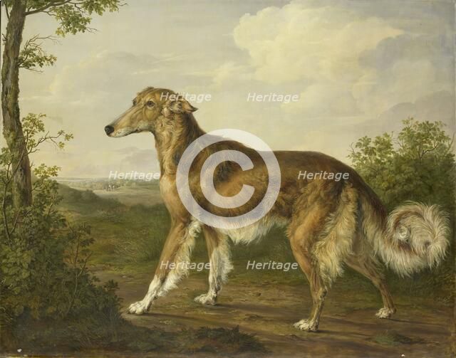 Siberian Greyhound, c.1825. Creator: Jan Dasveldt.