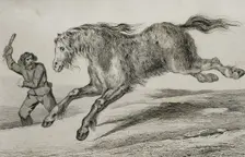 Siberian horse with winter coat, 1839. Creator: Augustin François Lemaitre