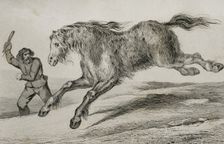 Siberian horse with winter coat, 1839. Creator: Augustin François Lemaitre
