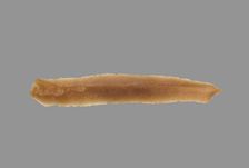 Sickle Blade, 1980-1801 BC. Creator: Unknown