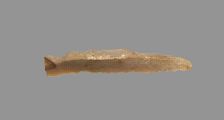Sickle Blade, 1980-1801 BC. Creator: Unknown