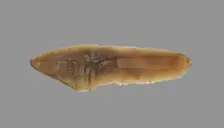 Sickle Blade, 1980-1801 BC. Creator: Unknown