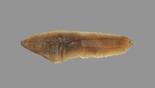 Sickle Blade, 1980-1801 BC. Creator: Unknown