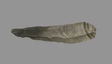 Sickle Blade, 1980-1801 BC. Creator: Unknown