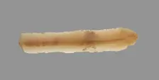 Sickle Blade, 1980-1801 BC. Creator: Unknown