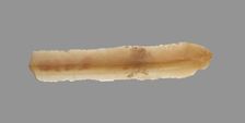Sickle Blade, 1980-1801 BC. Creator: Unknown