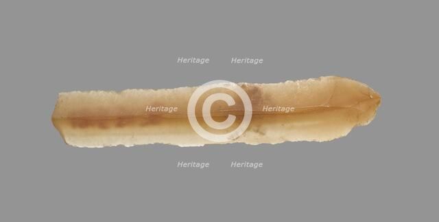 Sickle Blade, 1980-1801 BC. Creator: Unknown.