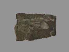 Sickle Blade, 1980-1801 BC. Creator: Unknown