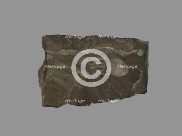 Sickle Blade, 1980-1801 BC. Creator: Unknown.