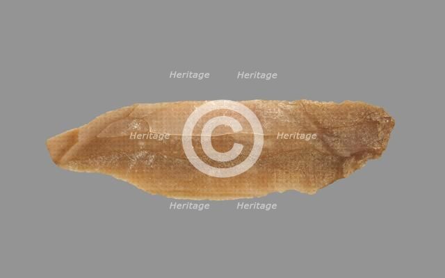 Sickle Blade, 1980-1801 BC. Creator: Unknown.