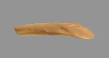 Sickle Blade, 1980-1801 BC. Creator: Unknown