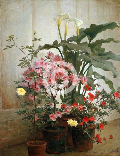 Side of a Greenhouse, 1870-80 (?). Creator: George Cochran Lambdin.