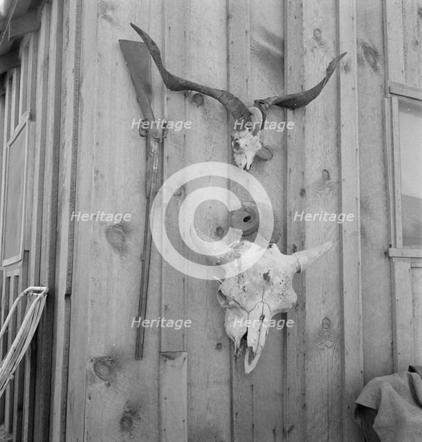 Side of Cates' new house, Malheur County, Oregon, 1939. Creator: Dorothea Lange.