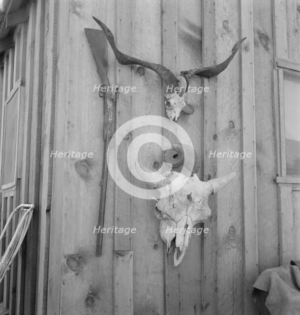 Side of Cates' new house, Malheur County, Oregon, 1939. Creator: Dorothea Lange.