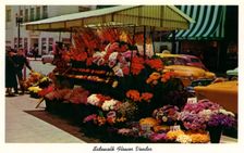 Sidewalk flower vendor, San Francisco, California, USA, 1957