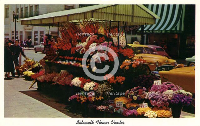 Sidewalk flower vendor, San Francisco, California, USA, 1957. Artist: Unknown