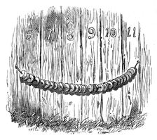 Siege Operations at Chatham: festoon of gun-cotton on the stockade, 1871. Creator: Unknown