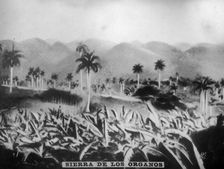 Sierra de los Organos, (1896), 1920s