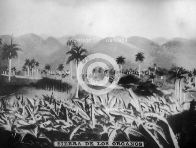 Sierra de los Organos, (1896), 1920s. Artist: Unknown